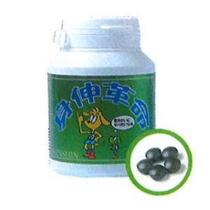 身伸革命（しんしんかくめい） 200mg×300粒