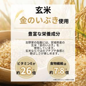 非常食 缶詰 吉野家 缶飯 4種 牛丼 豚丼 ...の詳細画像5