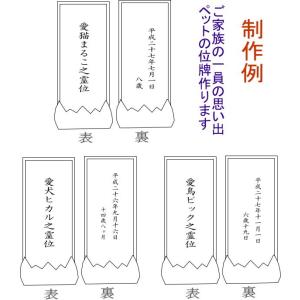 4017ペットの名前が入る ペット位牌 ペット...の詳細画像4
