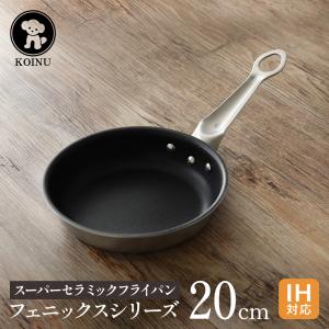 MUNDER 鉄ホーロー製 フライパン 24cm IH対応 ミュンダー社 MUNDER