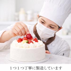 犬用ケーキ 誕生日 ハートのチーズミルク 冷凍...の詳細画像2