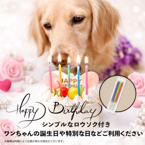 犬用ケーキ 誕生日 ハートのチーズミルク 冷凍...の詳細画像5