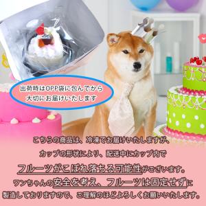 犬用ケーキ 誕生日 ハートのチーズミルク 冷凍...の詳細画像3