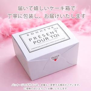 犬用ケーキ 誕生日 ハートのチーズミルク 冷凍...の詳細画像4