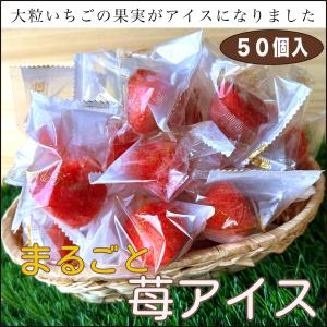 【とろ〜り練乳入り】 アイス ギフト 苺アイス...の詳細画像1