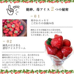 【とろ〜り練乳入り】 アイス ギフト 苺アイス...の詳細画像2