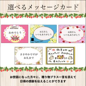 【とろ〜り練乳入り】 アイス ギフト 苺アイス...の詳細画像4