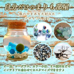 ちっちゃ可愛い コルク瓶まりも 観葉植物 マリ...の詳細画像4