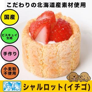 犬用ケーキ 誕生日　シャルロット(イチゴ) ケーキ 【北海道産素材】誕生日 お祝い 犬 ケーキ 誕生日｜phiphishop