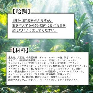 亀 爬虫類 えさ 80g プレミアム 餌 エサ...の詳細画像2