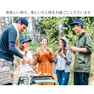 敬老の日 佐賀牛 焼き肉セット 480g(2~...の詳細画像5