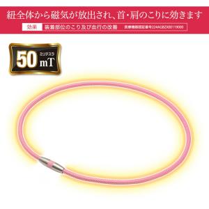 ファイテン RAKUWA磁気チタンネックレス(...の詳細画像4