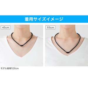 ファイテン RAKUWA磁気チタンネックレスS...の詳細画像1