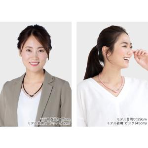 ファイテン RAKUWA磁気チタンネックレス ...の詳細画像1