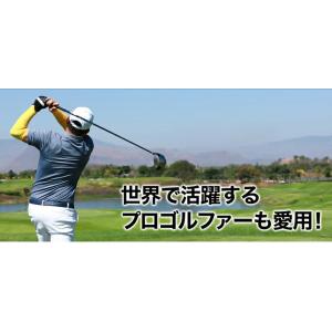 ファイテン RAKUWA磁気チタンネックレス ...の詳細画像3