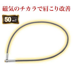 ファイテン RAKUWA磁気チタンネックレス ...の詳細画像3