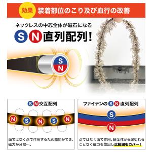ファイテン RAKUWA磁気チタンネックレス ...の詳細画像4