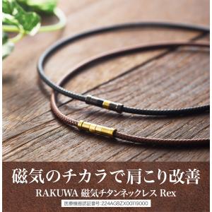 ファイテン RAKUWA磁気チタンネックレス ...の詳細画像1