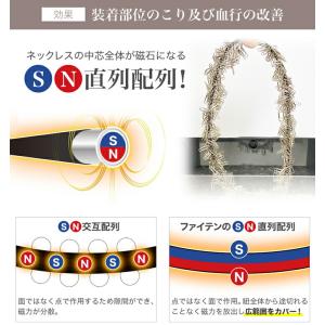 ファイテン RAKUWA磁気ネックレス チョッ...の詳細画像1