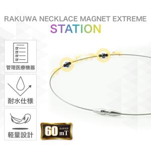 ファイテン RAKUWA磁気ネックレス EXT...の詳細画像2