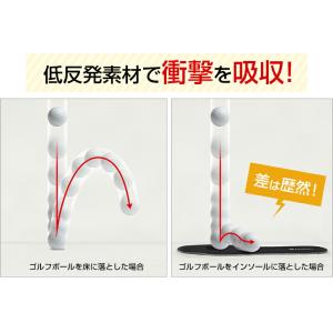 ファイテン インソール フラットタイプ メタッ...の詳細画像2