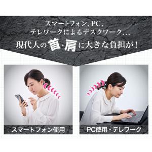 ファイテン 星のやすらぎ エアロクレイドル ス...の詳細画像1