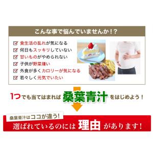 ファイテン 桑葉青汁 発芽玄米プラス 30包【...の詳細画像2