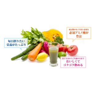 ファイテン 桑葉青汁 発芽玄米プラス 30包【...の詳細画像3