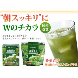 ファイテン 桑葉青汁 難消化性デキストリンプラ...の詳細画像1