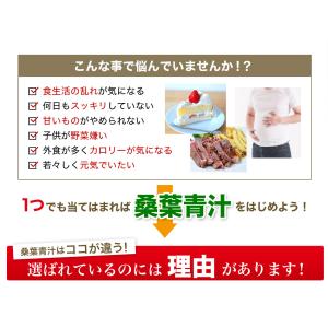 ファイテン 桑葉青汁 難消化性デキストリンプラ...の詳細画像2