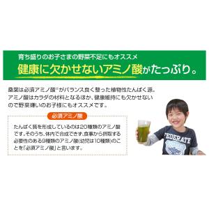 ファイテン 桑葉青汁 難消化性デキストリンプラ...の詳細画像5