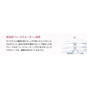【50%OFF】ファイテン たまねぎエキスの水...の詳細画像3