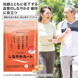 みーさん専用 新品・未開封』ファイテン　phiten　NMN　サプリメント Phiten（ファイテン） NMN 60粒 : くすりの勉強堂 アネックス - 通販