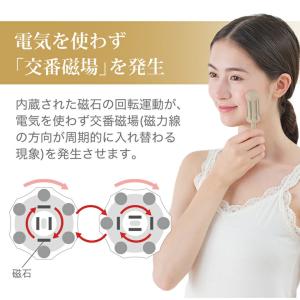 ファイテン チタンローラー モカ【公式】フェイ...の詳細画像2