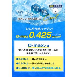 ファイテン 星のやすらぎ 冷感リバーシブル 敷...の詳細画像1