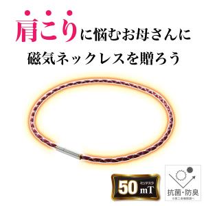 ファイテン 母の日ギフト(RAKUWA磁気ネッ...の詳細画像1