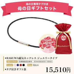 ファイテン 母の日ギフト(RAKUWA磁気ネッ...の詳細画像2