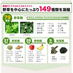 ファイテン 酵素PXプラスの詳細画像3