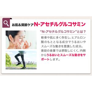 ファイテン 酵素PXプラスの詳細画像4