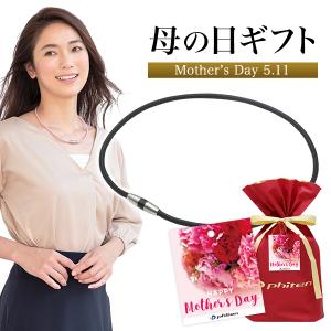 ファイテン 母の日ギフト(RAKUWA磁気チタンネックレス)