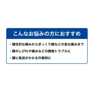 「本日ストアポイント10倍」ファイテンサポータ...の詳細画像2