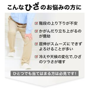 ファイテン 磁気膝サポーター(1枚入) (管理...の詳細画像2