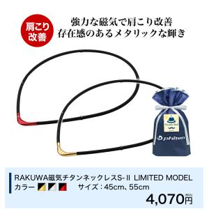 ファイテン 父の日ギフト(RAKUWA磁気チタ...の詳細画像1