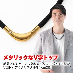 ファイテン 父の日ギフト(RAKUWA磁気チタ...の詳細画像4