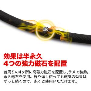 ファイテン 父の日ギフト(RAKUWA磁気チタ...の詳細画像5