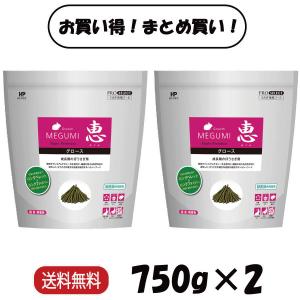 ハイペット 恵 シニア 750g うさぎ フード 餌 ペレット : チャーム