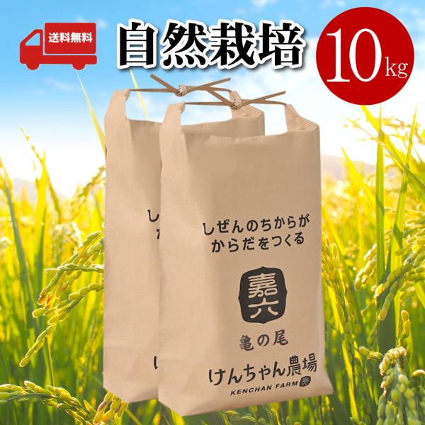 亀の尾　自然栽培米　玄米　10kg　白米　無農薬　無肥料　古代米　(けんちゃん農場)
