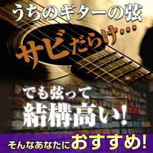Phoenix アコースティック ギター 弦 ...の詳細画像3
