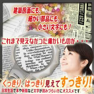 ハンドルーペE LEDライト付き 長期保証書 ...の詳細画像5