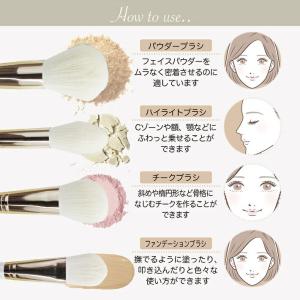 Frepice フレピス メイクブラシ 【12...の詳細画像2